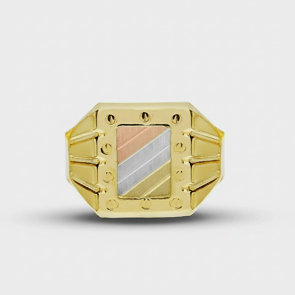 Anello scudo oro 18kt